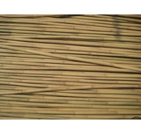 100 x 240cm (8ft) Bamboo Canes 18/20mm
